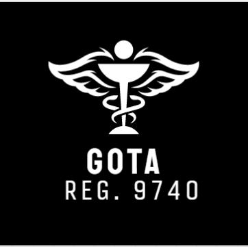 Government occupational therapist association